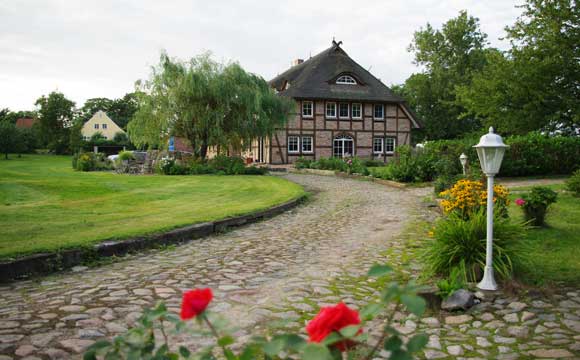 Im Sommer hat man von unseren Ferienwohnungen auf Rügen einen wundervollen Blick in den parkähnlichen Garten