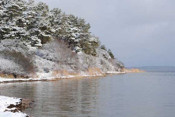 Erleben Sie den Winter an der Ostsee hier auf Rügen in unserer gemütlichen Ferienwohnung. 